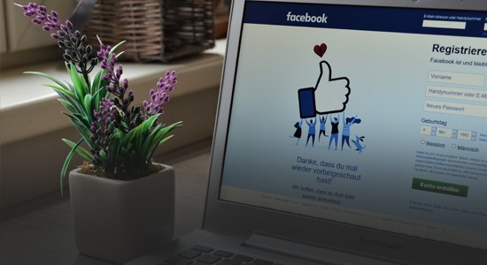 The Facebook login website page on a laptop, next to a lavender plant 