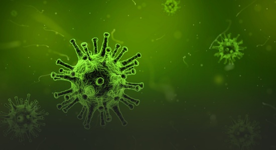Illustration of a virus on a green background 