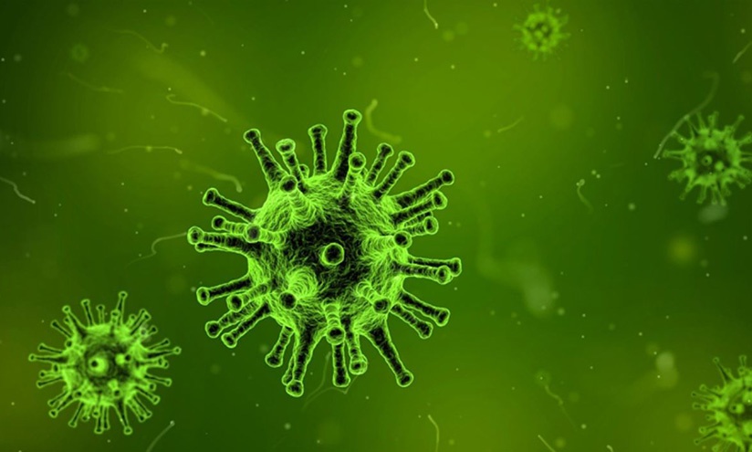 Illustration of a virus on a green background 