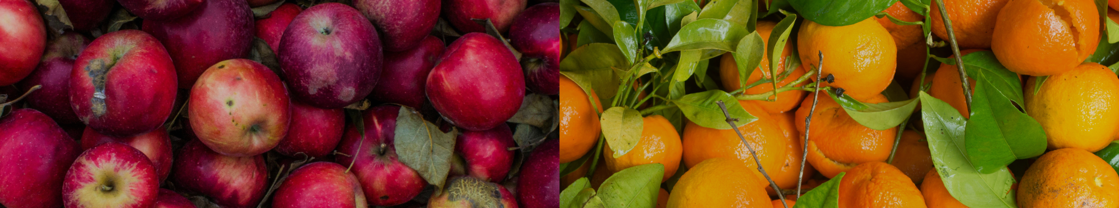 A pile of apples and a pile of oranges.