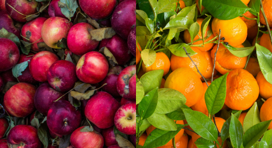A pile of apples and a pile of oranges.