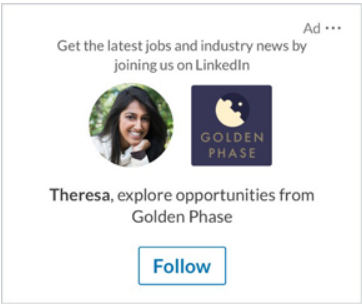 Linkedin Follower Ads