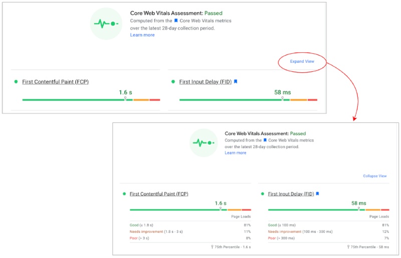 Google Page Speed Insights Expand View